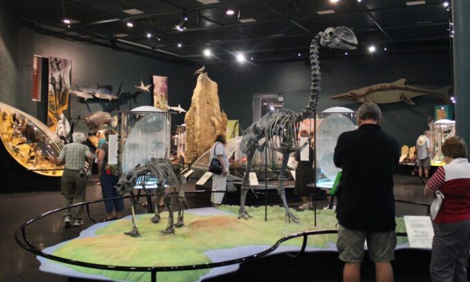 Darwin: City Sights and Jumping Crocodile Cruise - Frequently Asked Questions