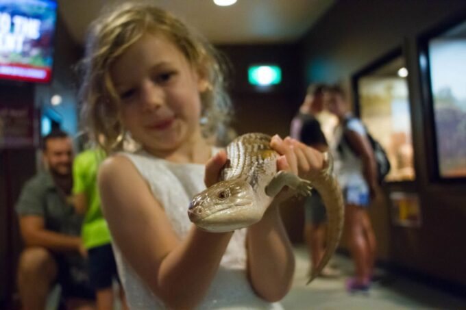 Darwin: Crocosaurus Cove Entry & Hop-on-Hop-Off Bus Tour - Recap
