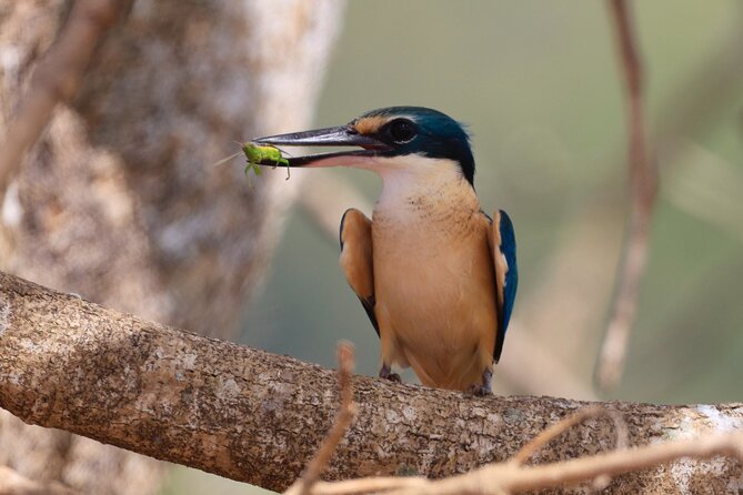 Darwin: Evening Tour to Fogg Dam Wetlands and Humpty Doo Hotel - Location and Duration