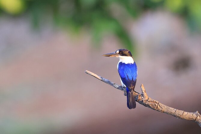 Darwin: Evening Tour to Fogg Dam Wetlands and Humpty Doo Hotel - Pickup and Drop-off