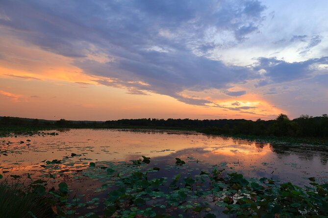 Darwin: Evening Tour to Fogg Dam Wetlands and Humpty Doo Hotel - Dinner at Humpty Doo Tavern