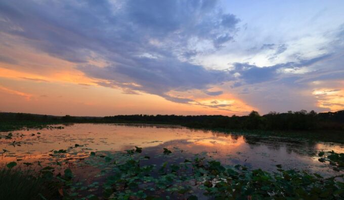 Darwin: Fogg Dam Wetlands Sunset & Humpty Doo Hotel Tour - Recap