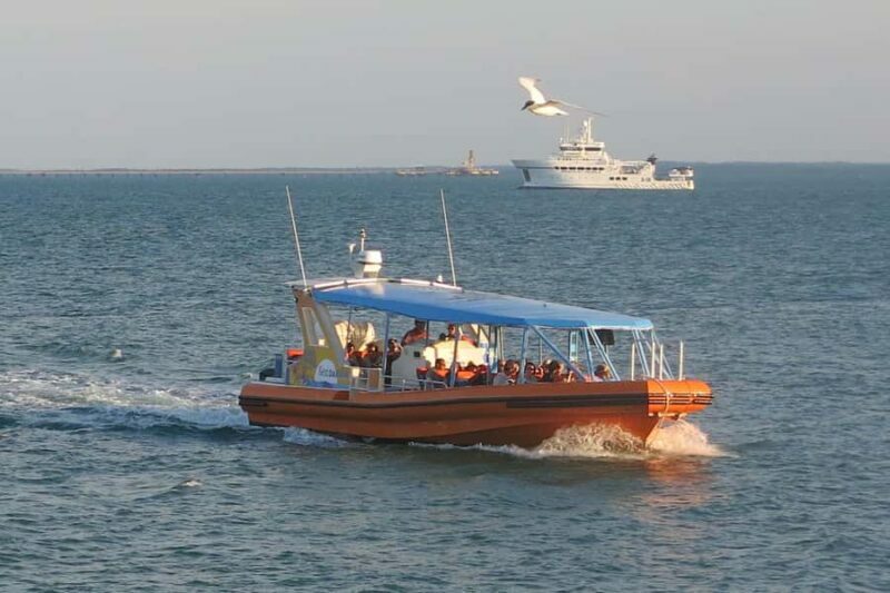 Darwin Harbour Cruise - Pricing and Value: How Does It Stack Up?