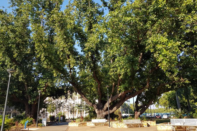 Darwin Heritage Walk - Tour Meeting and End Points