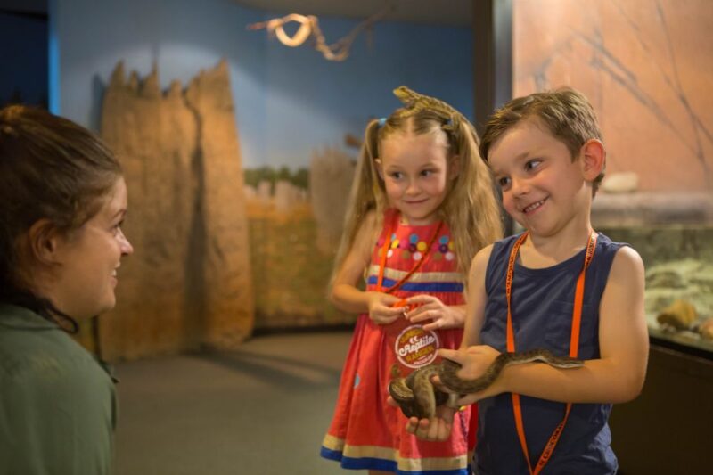 Darwin: Hop-On Hop-Off Bus, Crocosaurus Cove and RFDS Entry - Key Points