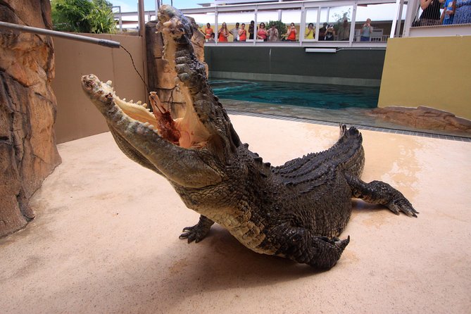 Darwin Hop-on Hop-off Bus Tour - Key Attractions and Stops
