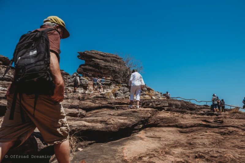 Darwin: Kakadu National Park Cultural Day Tour With Lunch - Ancient Rock Art