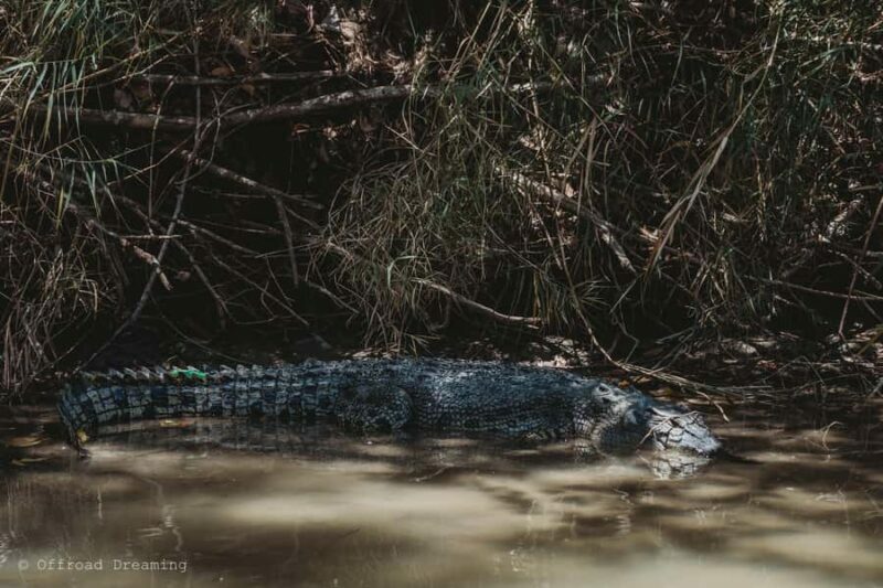 Darwin: Kakadu National Park Day Tour with Lunch - Exploring the Day Trip in Detail