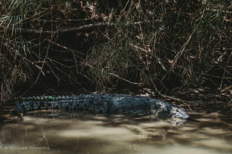 Darwin: Kakadu National Park Day Tour with Lunch - Final Thoughts