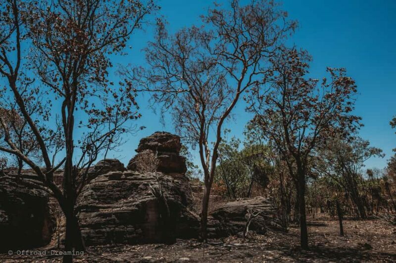 Darwin: Kakadu National Park Day Tour with Lunch - Frequently Asked Questions