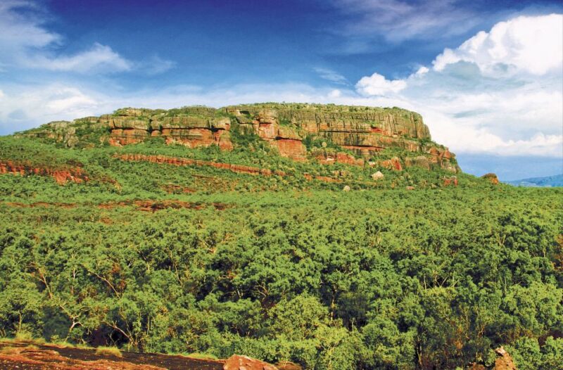 Darwin: Kakadu & Nourlangie Day Trip Plus Billabong Cruise - Warradjan Cultural Centre