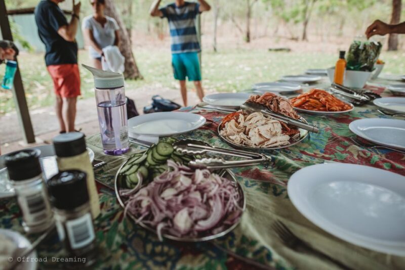 Darwin: Litchfield Day Tour and Private Crocodile Cruise - Key Points