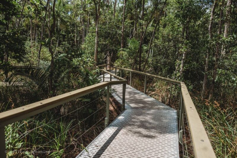 Darwin: Litchfield Day Tour and Private Crocodile Cruise - Bushwalking in Litchfield