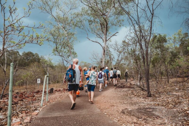 Darwin: Litchfield Day Tour and Private Crocodile Cruise - Lunchtime in the Park