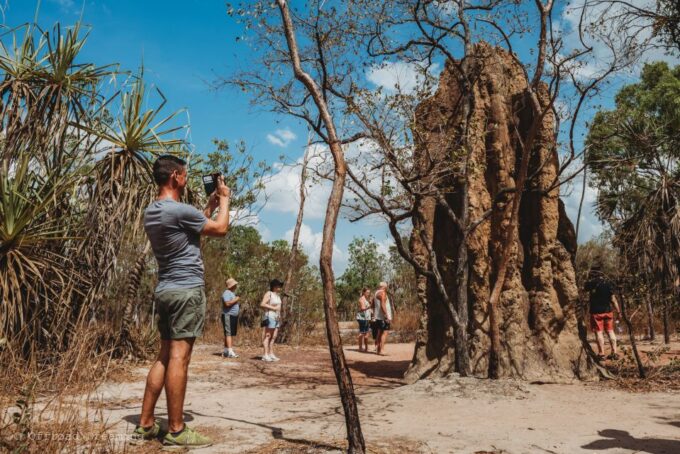 Darwin: Litchfield Day Tour and Private Crocodile Cruise - Getting to and From Darwin