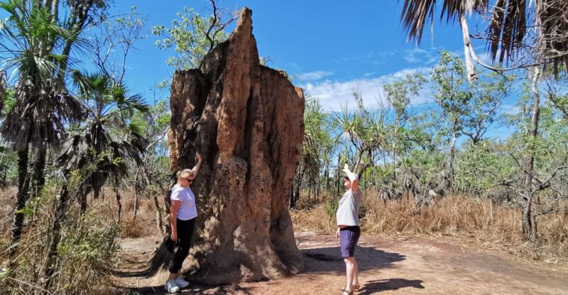 Darwin: Litchfield National Park and Berry Springs Day Tour - Additional Information