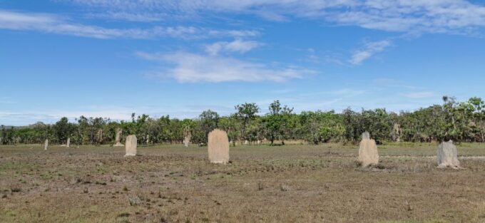 Darwin: Litchfield National Park and Berry Springs Day Tour - Discovering Berry Springs