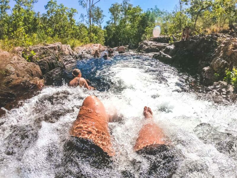 Darwin: Litchfield National Park Waterfalls & Wildlife Tour - Final Thoughts