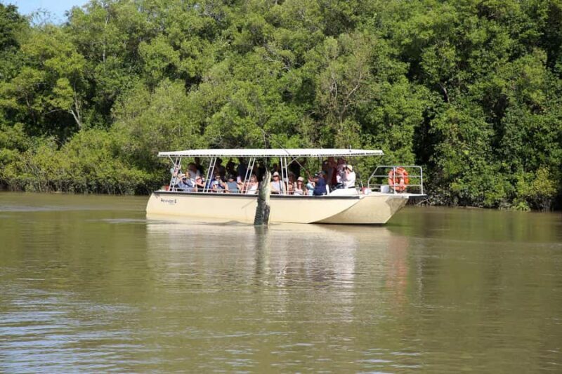 Darwin: Pathfinder Original Jumping Crocodile Cruise - The Value for Travelers