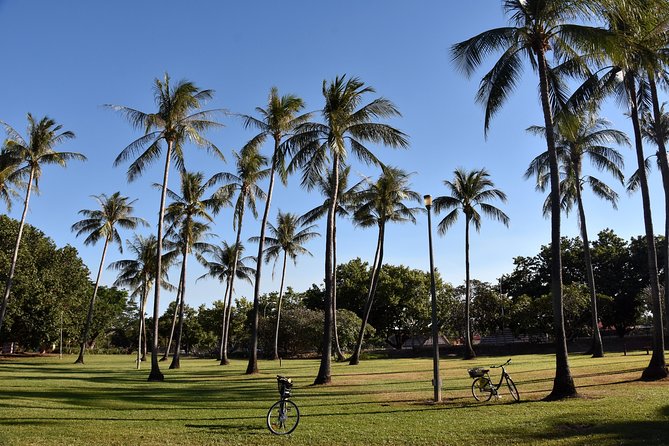 Darwin Shore Excursion: Hop-on Hop-off Bus Tour - Convenient for Cruise Passengers