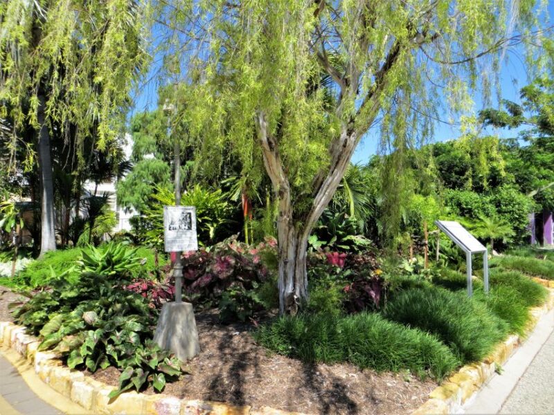 Darwin: Small Group 2-Hour Heritage Walk - Recap