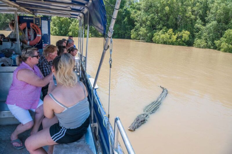 Darwin: Spectacular Jumping Crocodile Adelaide River Cruise - Pricing and Cancellation
