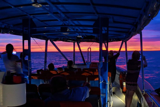 Darwin Sunset Cruise Including Fish N Chips - Weather and Transportation Accessibility