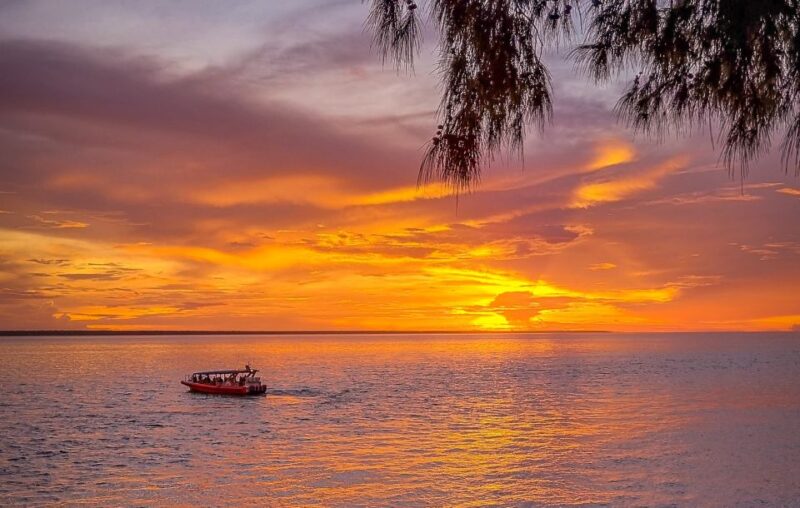 Darwin: Sunset Harbour Cruise With Fish and Chips Dinner - Meeting Point and Logistics