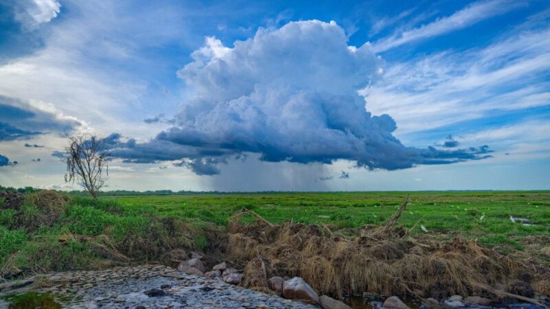 Darwin: The Croc Bus to the Famous Jumping Crocodile Cruise - Important Information