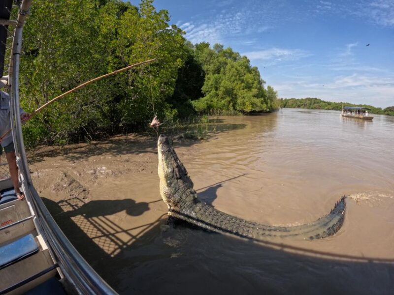 Darwin: The Croc Bus to the Famous Jumping Crocodile Cruise - Customer Feedback