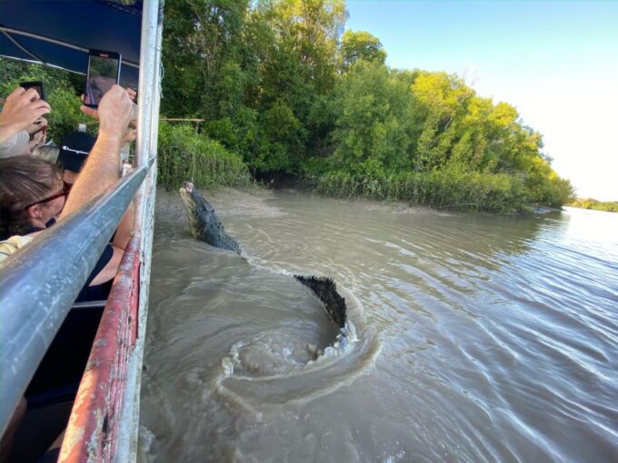 Darwin: The Croc Bus to the Famous Jumping Crocodile Cruise - Booking Options