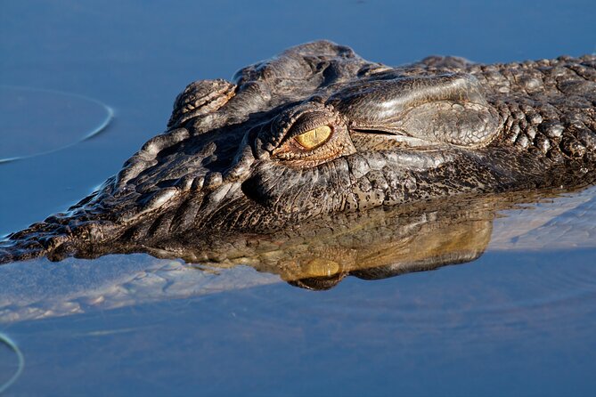 Darwin to Kakadu Day Trip by Air Including Yellow Water Cruise - Weight Limit and Refusal of Carriage