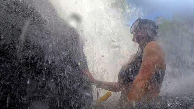 Darwin:2 Day Tropical Summer Kakadu and Litchfield Immersion - Key Points