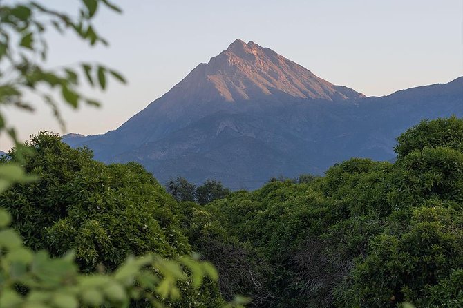 Darwins Route: Traversing the Chilean Palm Forest - Important Information