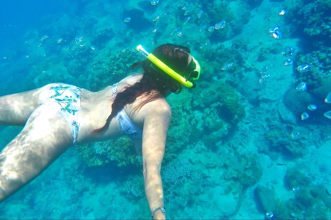 Dash and Splash Snorkel Adventure St Lucia - Preparing for the Adventure