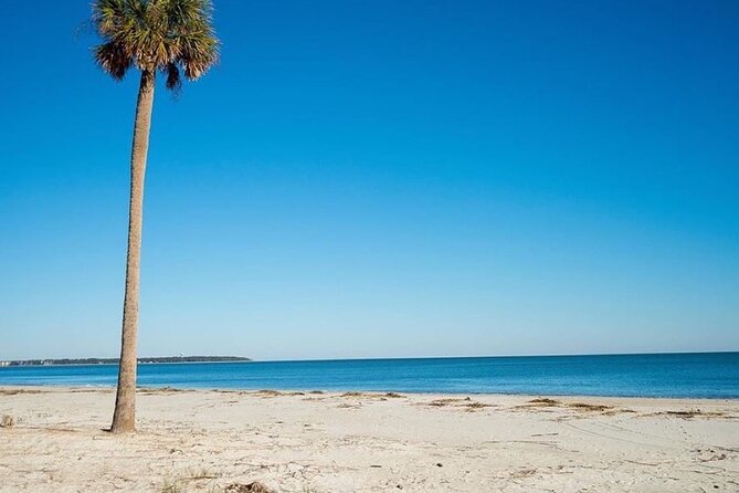 Daufuskie Day Trip Package (4 Person) Ferry Plus Golf Cart - Traveler Capacity