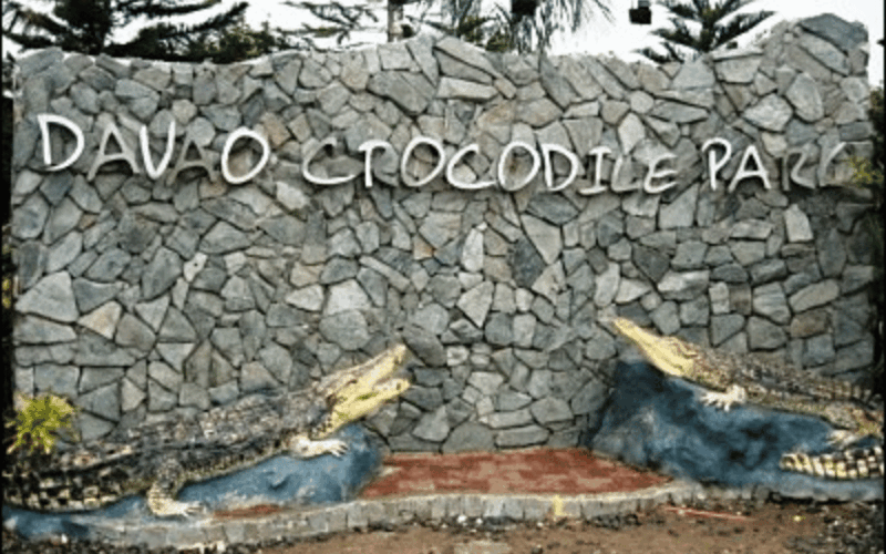 Davao City Tour (Private Tour) - Experience Highlights