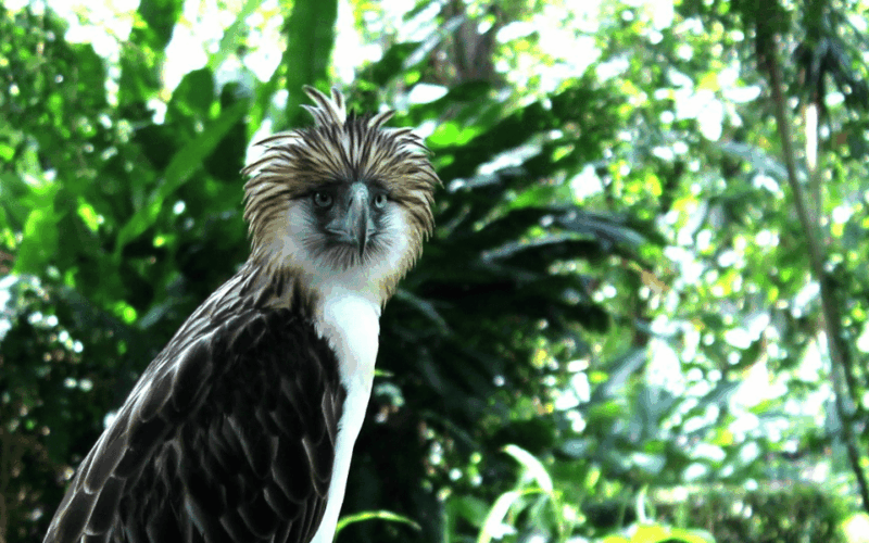 Davao Country Side Tour (Private Tour) - Booking Details