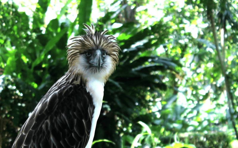 Davao Country Side Tour (Private Tour) - Inclusions