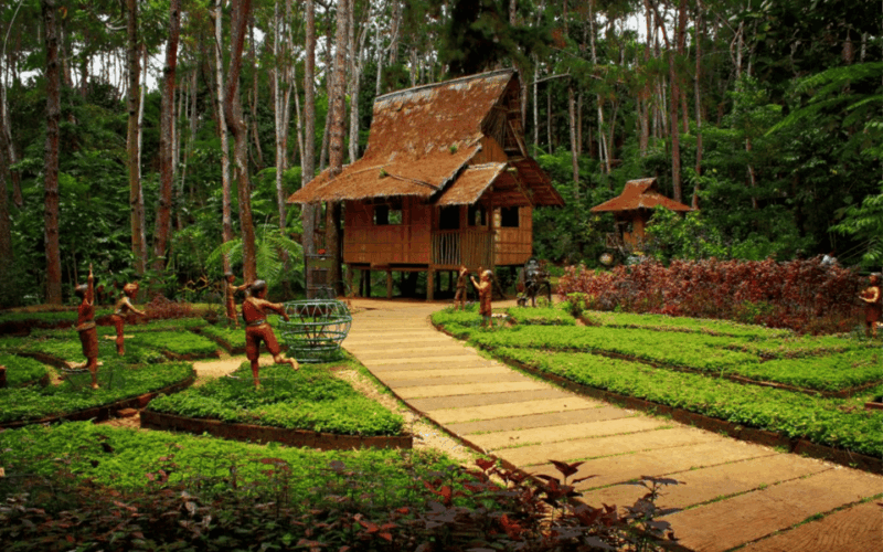 Davao Country Side Tour (Private Tour) - Philippine Eagle Sanctuary