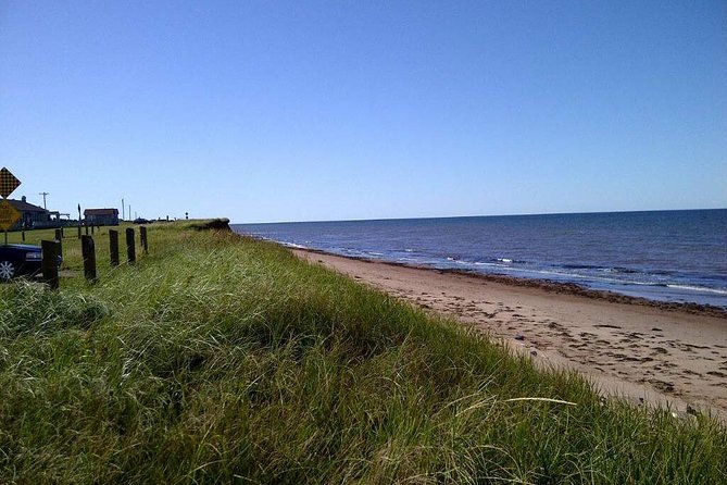 Davids North Shore Tour - Included Amenities