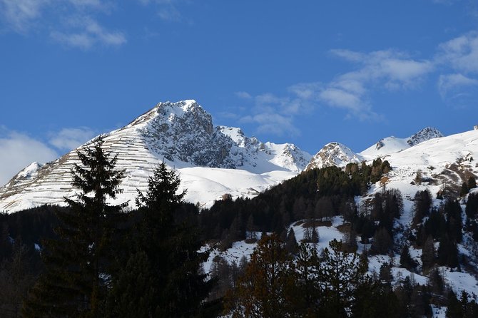 Davos - Private Walking Tour - Insights and Historical Context