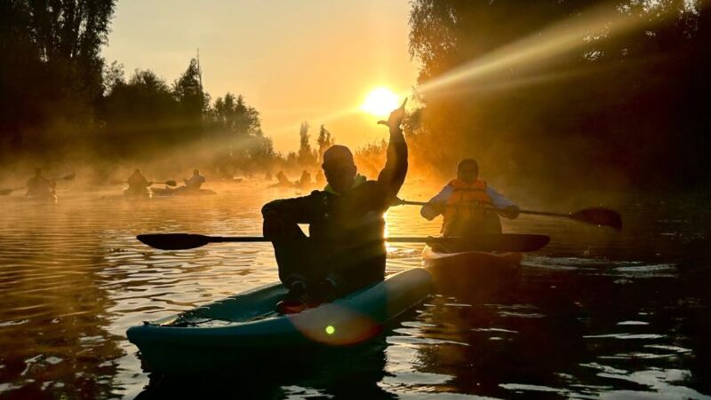 Dawn in Xochimilco by Kayak - Inclusions and Accessibility