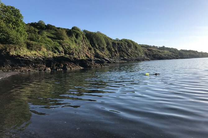 Dawn Pilgrimage and Swim in West Cork - Booking Information