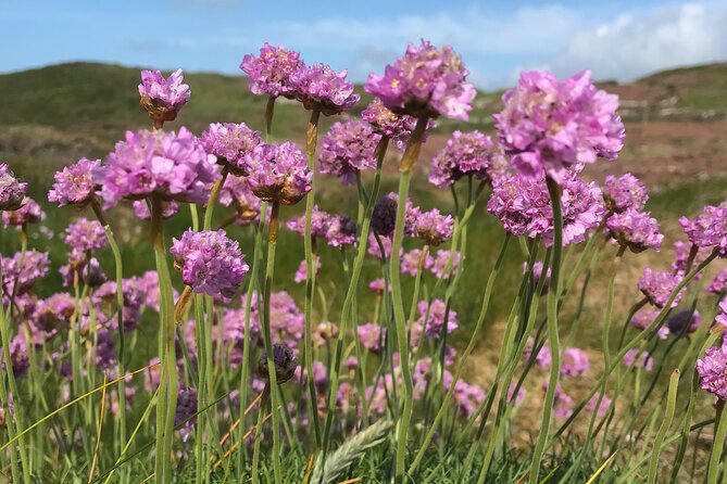Dawn Pilgrimage and Swim in West Cork - Additional Information