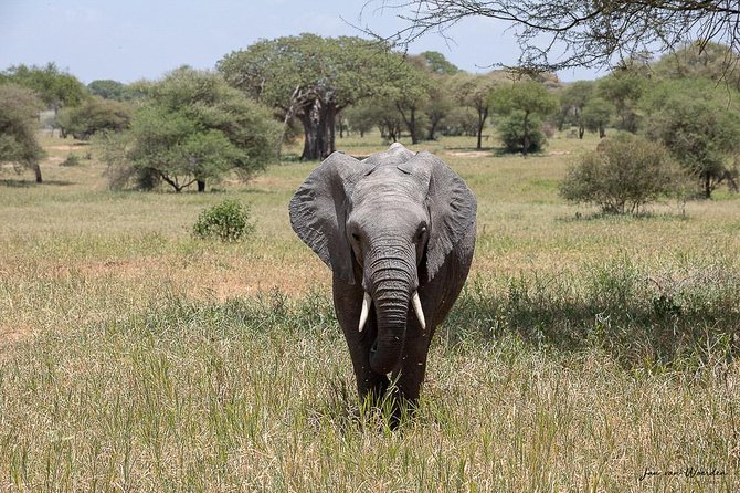 Day 1 Arusha – Lake Manyara National Park - Exclusions