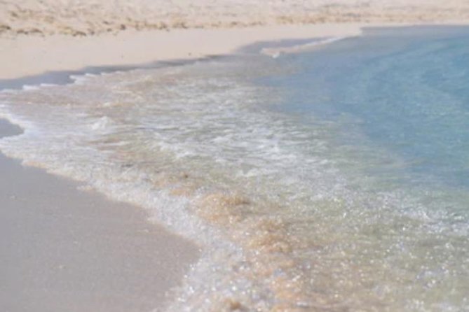 Day At The Beach With Lunch And Drinks for Cruise Guests - About Your Stay
