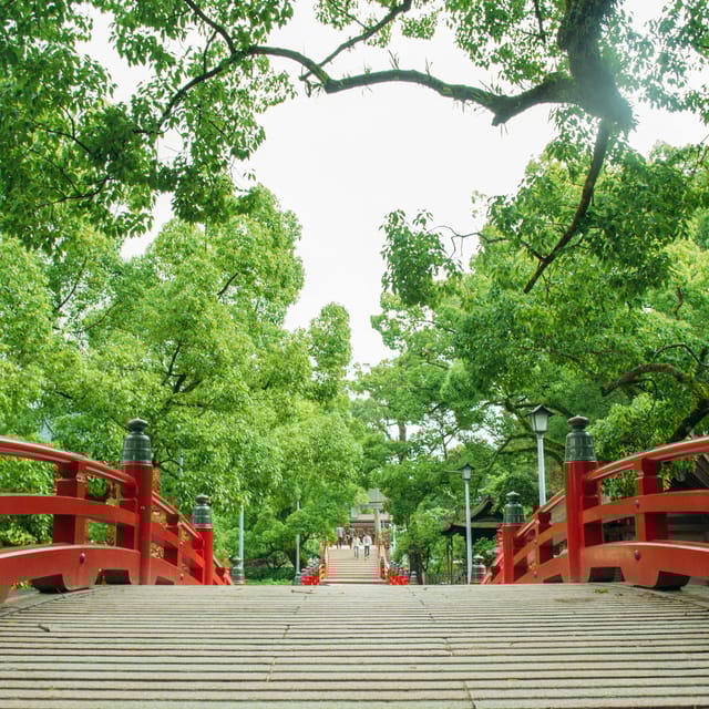 Day Bus Trip to Fruits Pick & Dazaifu, Yanagawa in Fukuoka - Key Points