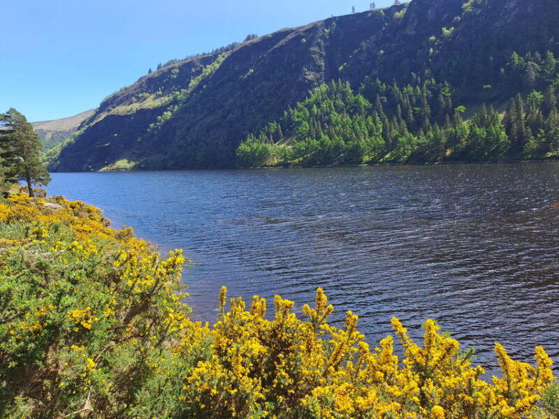 Day Car Trip Explore Amazing County Wicklow , Dublin-Wicklow - Highlights of the Itinerary