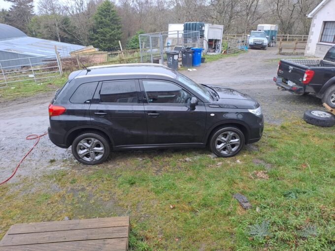 Day Car Trip Explore Amazing County Wicklow , Dublin-Wicklow - Outdoor Activities and Well-being